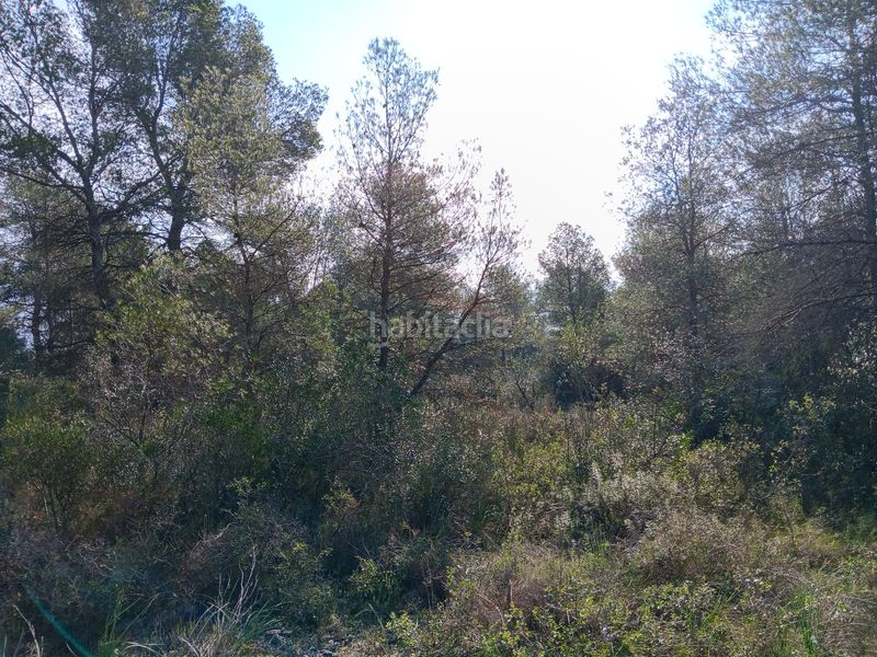 Foto ac9e884d-a106-4745-89f3-27e7c5eec2dd. Terrain résidentiel dans Ginestar