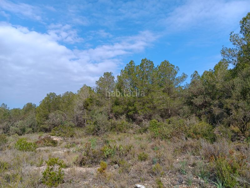 Foto b48de80f-cbeb-406a-9f3d-47609867ab87. Terrain résidentiel dans Ginestar