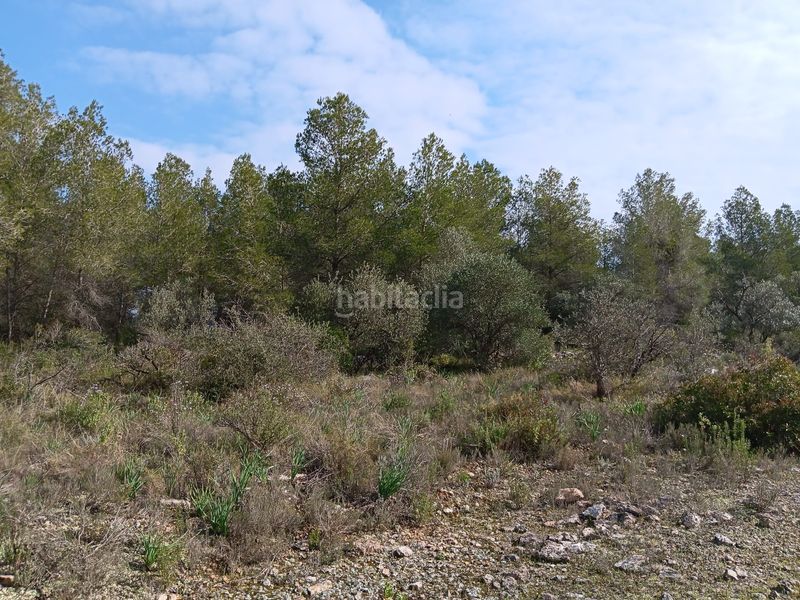 Foto fb0809c3-4b4b-4ccf-8979-44887603202e. Terrain résidentiel dans Ginestar