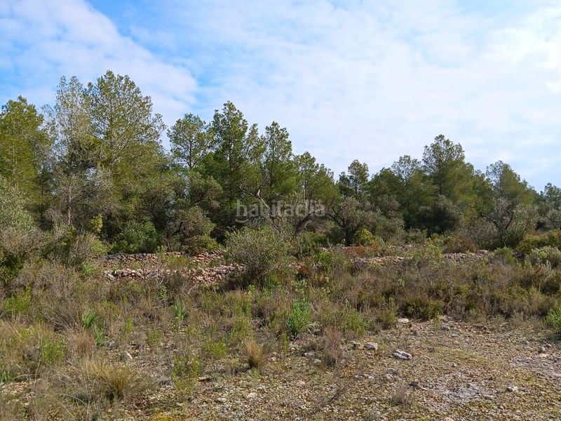 Foto feae71a0-2956-4079-b028-661e22ebd923. Terrain résidentiel dans Ginestar