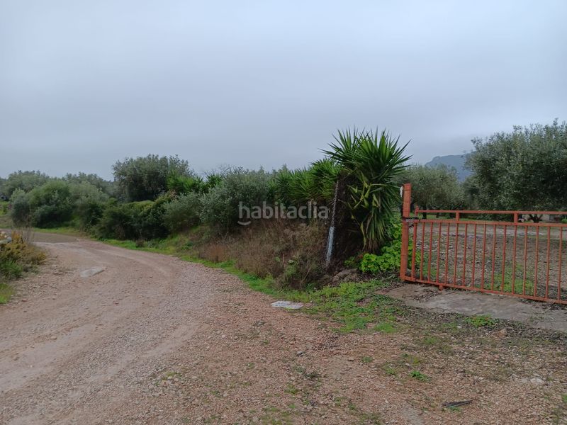 Foto 420f32d0-b7d9-44c4-943d-a79d3bb4f55b. Residential plot in Jesús - Els Reguers Tortosa