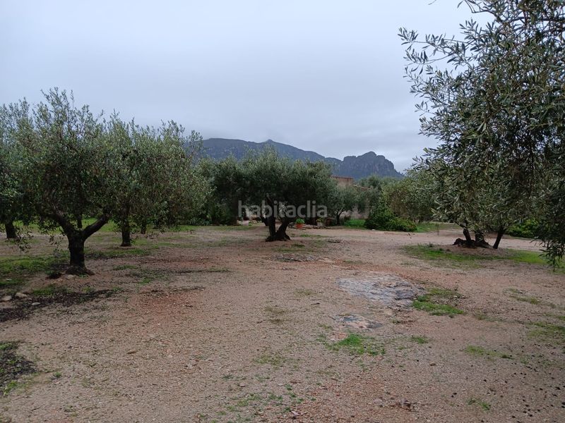 Foto c06e5fbc-be12-44aa-adfe-cf2ff4a33269. Residential plot in Jesús - Els Reguers Tortosa