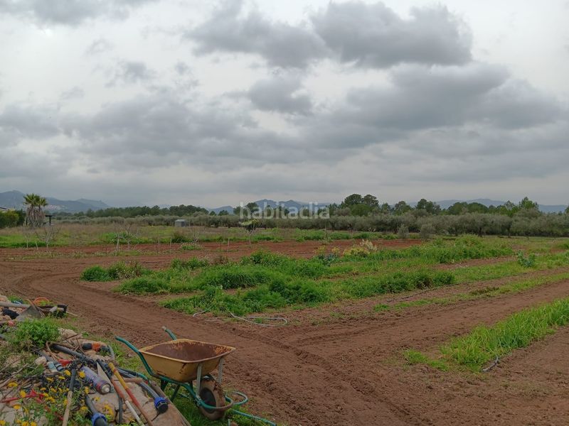 Foto 04b6d8b0-ed1f-4b66-91e7-409f60455c64. Bâtiment à usage industriel dans Ginestar