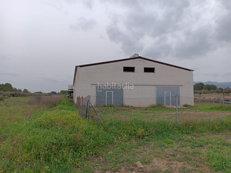 Foto 1ecad309-c654-49cd-b38a-0ad76732e9b1. Bâtiment à usage industriel dans Ginestar