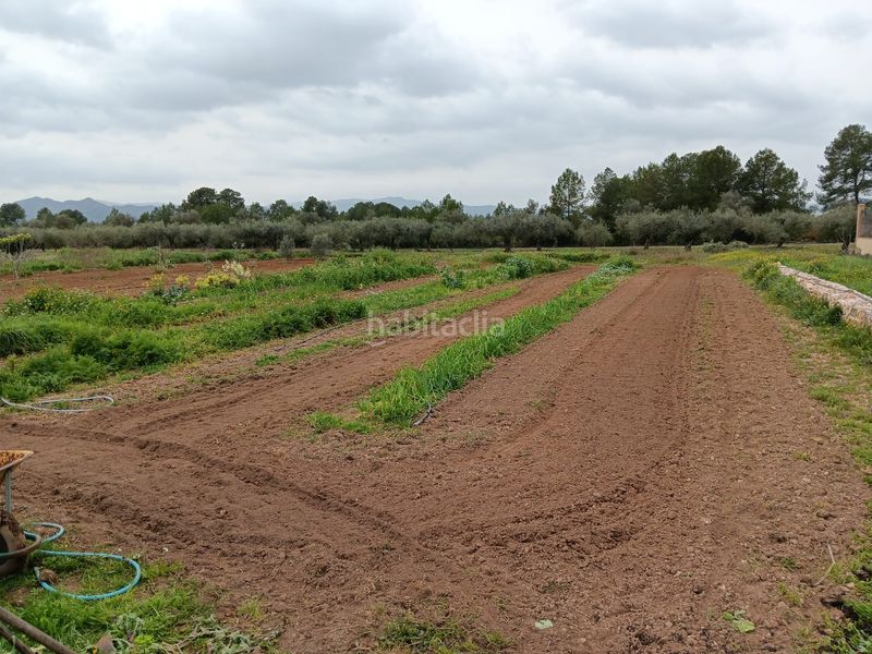 Foto 26d02b15-799f-499d-bd43-41746a004a0f. Bâtiment à usage industriel dans Ginestar