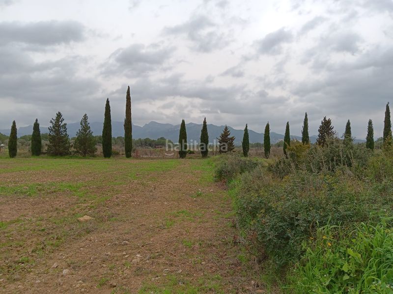 Foto 8fd7c679-fb5e-4f42-8127-7906734667d2. Bâtiment à usage industriel dans Ginestar