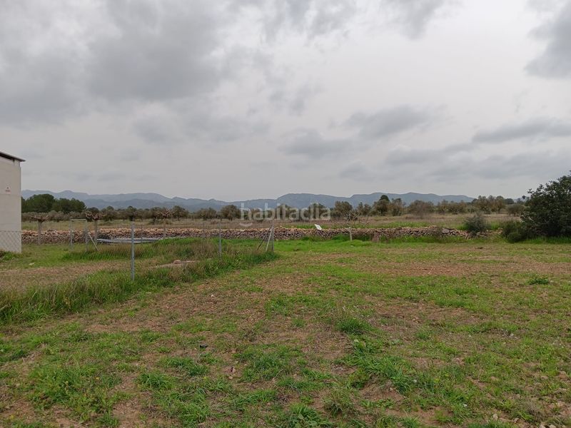 Foto bd677171-af64-4694-81f4-453f15a7f4f6. Bâtiment à usage industriel dans Ginestar