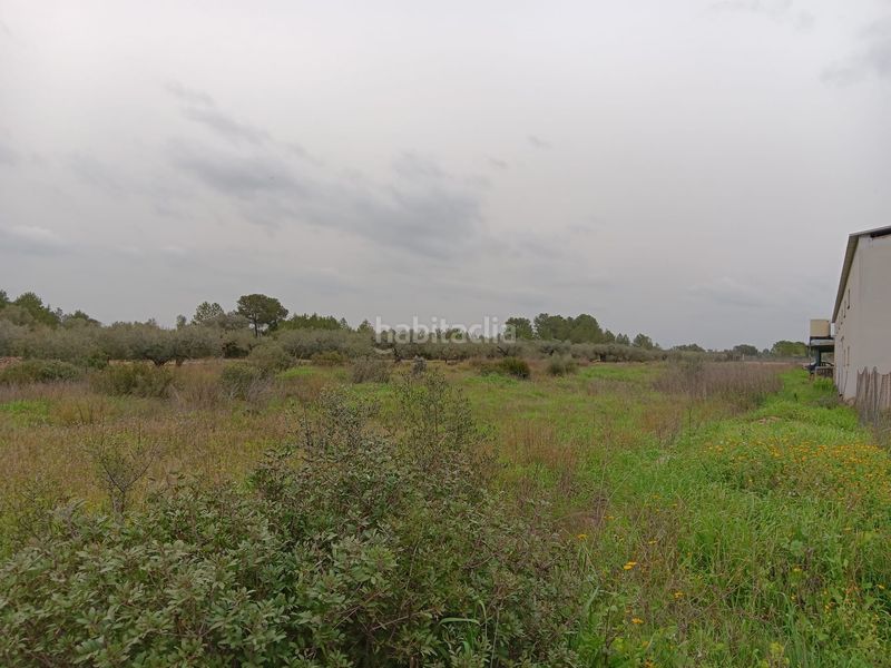 Foto c4d808a2-a609-4d5c-9fde-4d0505951500. Bâtiment à usage industriel dans Ginestar