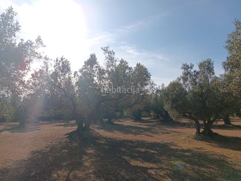 Foto d48781af-45d4-44ce-870b-f9f2bd0d523b. Wohngrundstück in Roquetes