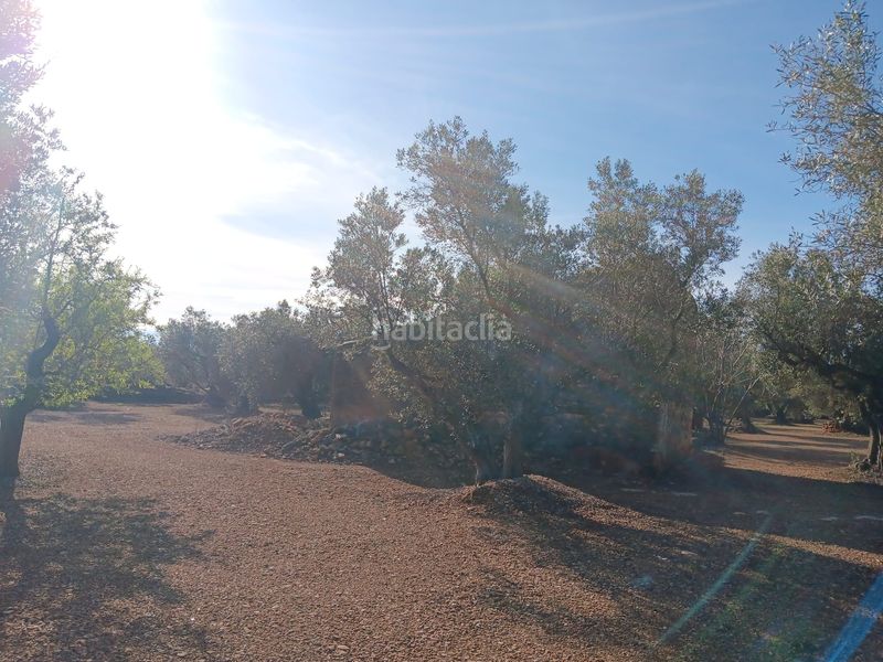 Foto fdbd897a-ec06-4f75-a590-ef435019cb81. Wohngrundstück in Roquetes