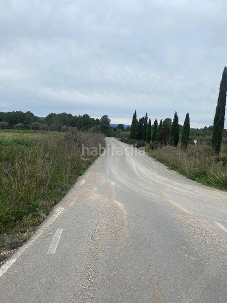 Foto 048b68e8-2503-44fe-9f66-580489e0923f. Terrain résidentiel dans Ginestar