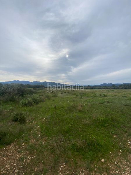 Foto 88a04d9d-bb07-48c1-86e9-3e2b06b4def5. Terrain résidentiel dans Ginestar
