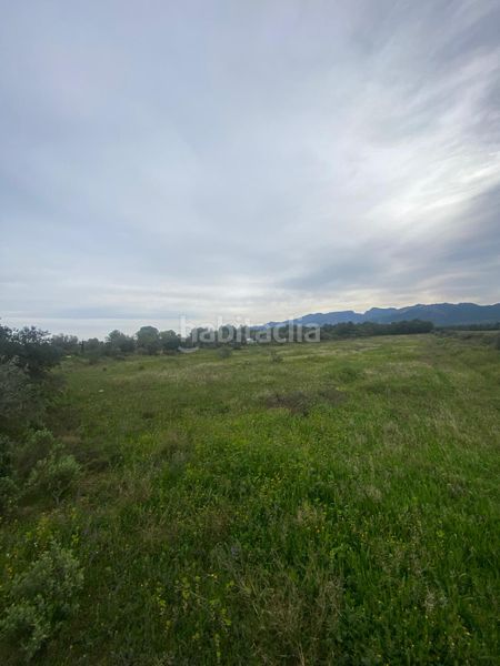 Foto e93d99ce-d415-45ea-8e0a-2631214d7c6d. Terrain résidentiel dans Ginestar