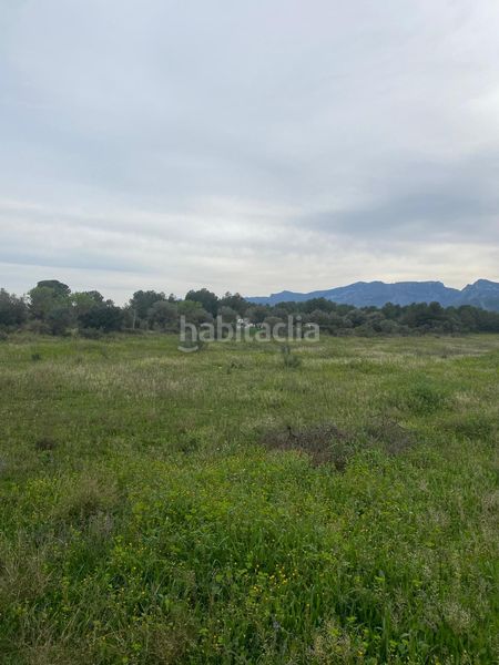 Foto f151c349-f6a3-4a7f-bed8-6aa8bf497909. Terrain résidentiel dans Ginestar