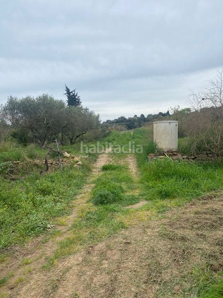 Foto 2dea224a-91d9-489d-bb83-9b8e13ee2f3c. Terreno residenziale in Ginestar