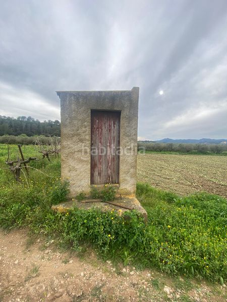 Foto b851c85b-d5ec-4bd5-b1c5-c277ff2fbd62. Terreno residenziale in Ginestar
