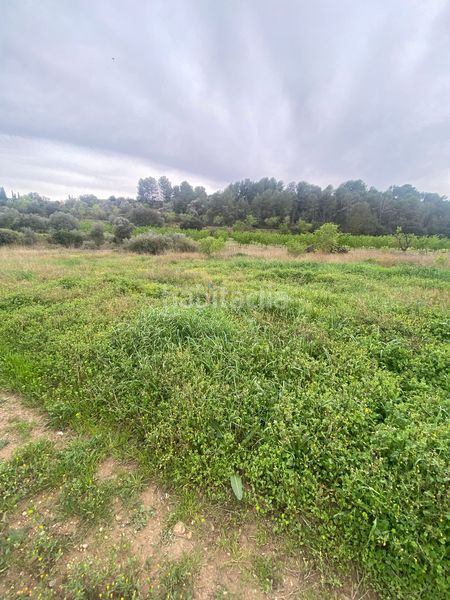 Foto d19ec054-7ab7-4e6b-a375-beab568136b5. Terreno residenziale in Ginestar