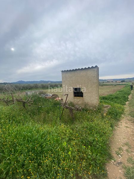 Foto e7497d8d-a7a6-4456-88f9-5978f1023712. Terreno residenziale in Ginestar