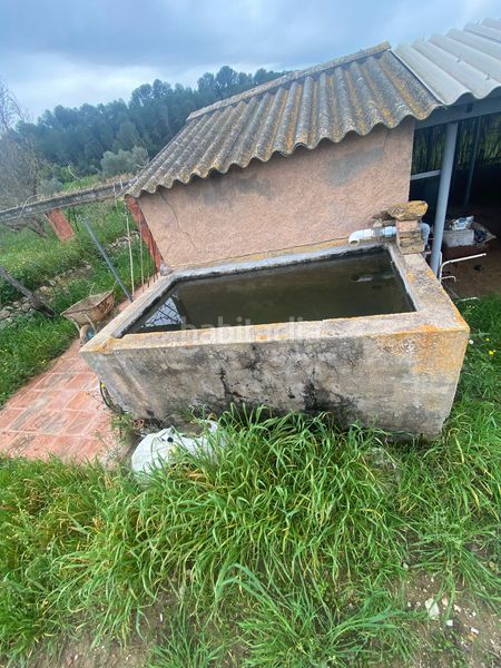 Foto eb0cbc16-aa19-4241-9b0c-96c0b0f71f8d. Terreno residenziale in Ginestar
