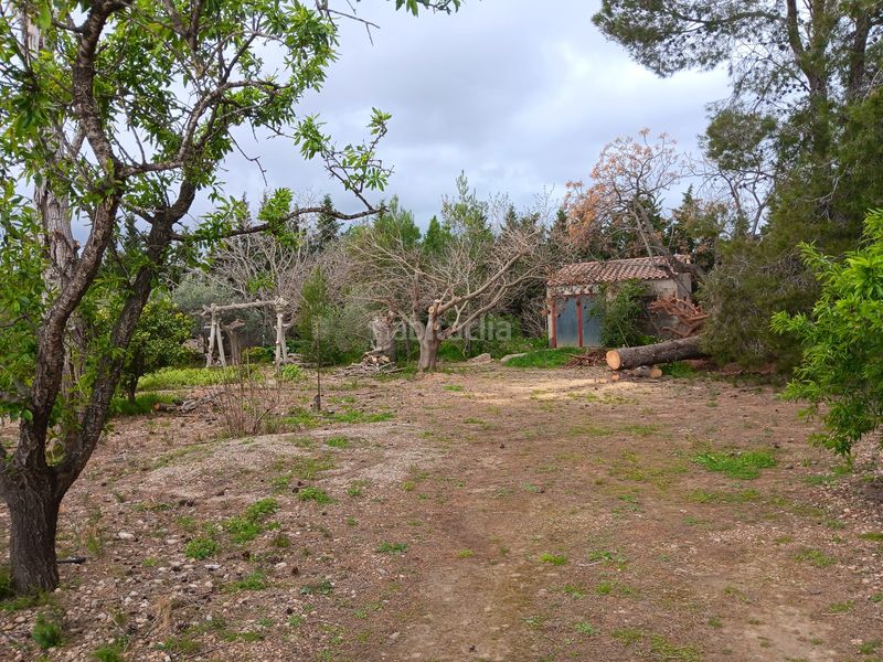 Foto a320ba47-4b92-46c9-a4e1-8acb44511ffb. Residential plot in Jesús - Els Reguers Tortosa