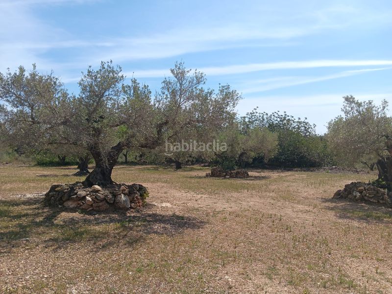 Foto 0418d790-6c29-432d-b382-754d2c753207. Terreno residencial en Camarles