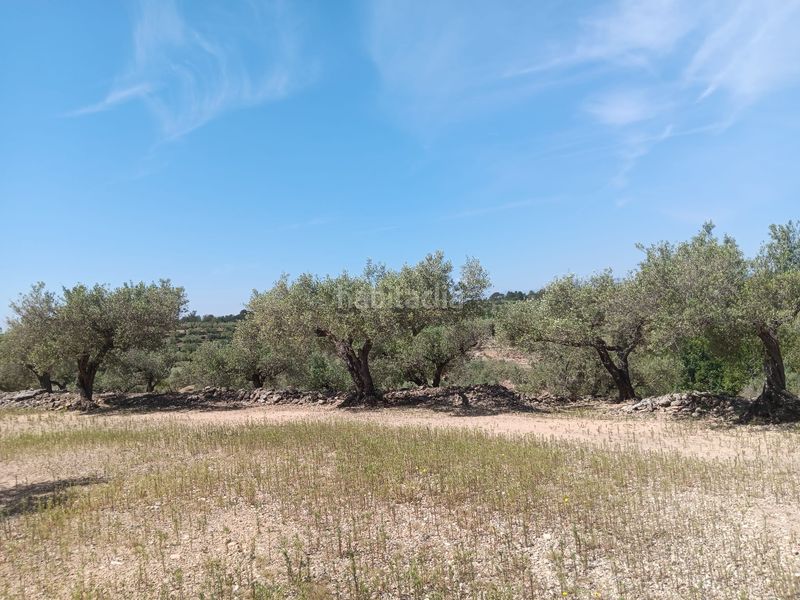 Foto 86711e2c-7f92-43c1-baee-737f447f21a5. Terreno residencial en Camarles