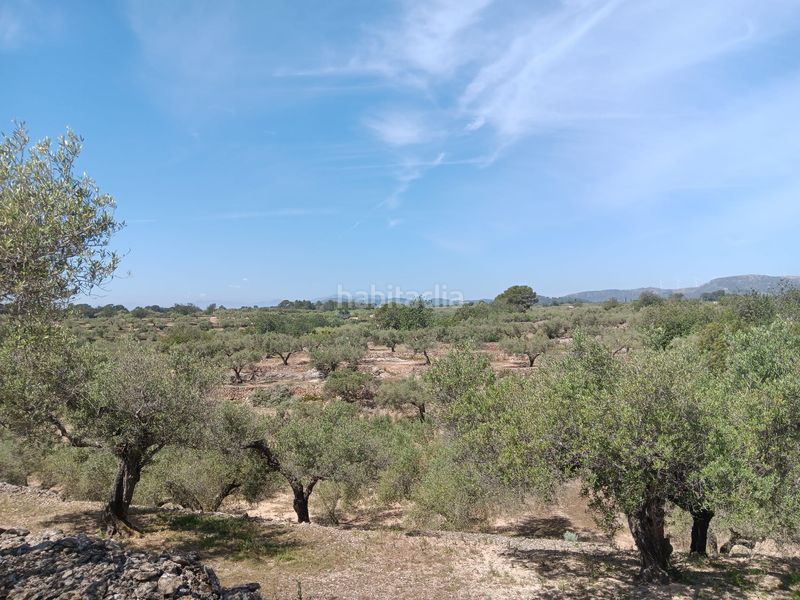 Foto a7d187c7-0975-4a67-857d-1abcd01429d4. Terreno residencial en Camarles