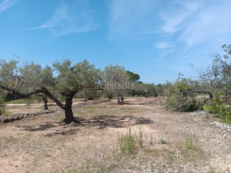 Foto cd3e9734-746d-45a1-81bc-f0812b8cbcbf. Terreno residencial en Camarles