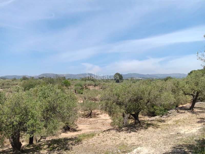 Foto d65a3215-67d4-41c3-81e6-97092b7837a7. Residential plot in Camarles