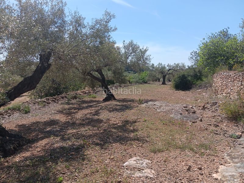 Foto f1955b45-6bf9-4ed2-8b04-66b318721a5b. Residential plot in Camarles