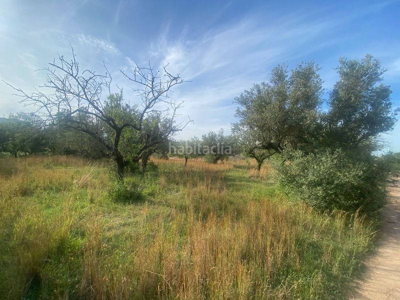 Foto 5a597a69-ec4a-409d-aa77-0b74cc0f0889. Terreno residencial en Jesús - Els Reguers Tortosa