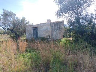 Terreno residencial en Jesús - Els Reguers