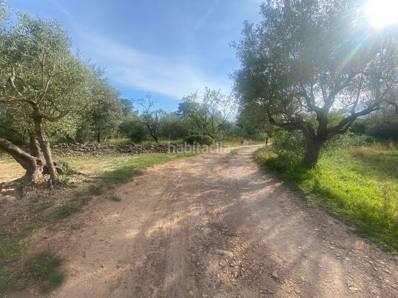 Foto 00d1b56b-1b30-4ac9-8423-c5349f27d313. Residential plot in Jesús - Els Reguers Tortosa