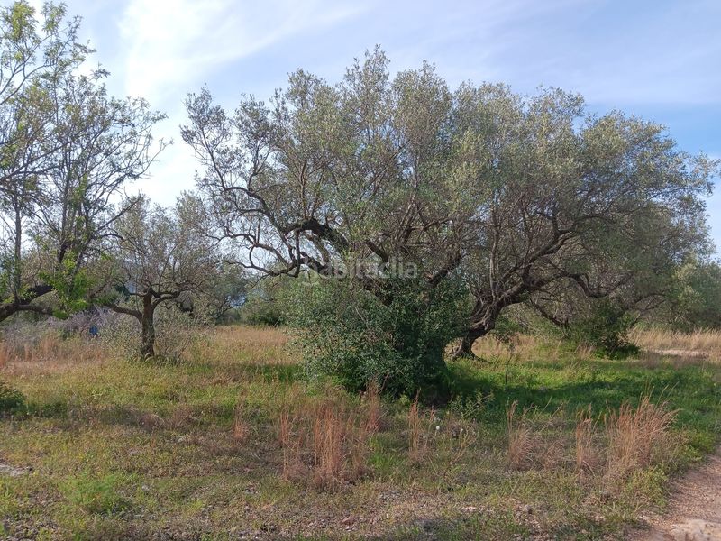 Foto d0e3c724-8812-48e8-b521-f892766a9864. Residential plot in Jesús - Els Reguers Tortosa
