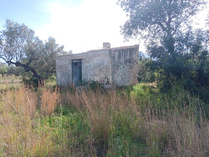 Foto ef7d4b91-99d0-4c06-9358-7508fccc4931. Residential plot in Jesús - Els Reguers Tortosa