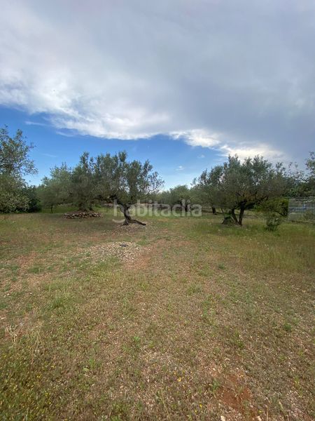 Foto 5485114f-313b-4302-9a36-57652847206f. Terreno residencial en Jesús - Els Reguers Tortosa