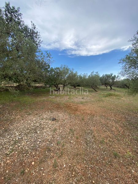 Foto 5e8b9ab9-56fa-4670-ada9-2507d48a67bb. Terreno residencial en Jesús - Els Reguers Tortosa