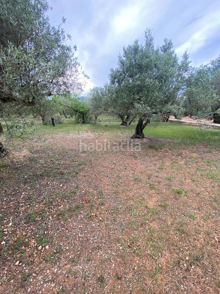 Foto 72941c7d-3a95-478b-9695-da7f60a3f6a8. Terreno residencial en Jesús - Els Reguers Tortosa