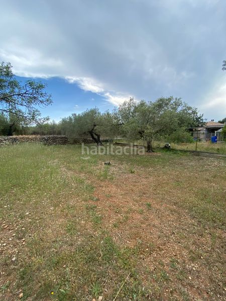 Foto 8e9fd8ed-5be8-4f38-aa0d-de018bf3399c. Terreno residencial en Jesús - Els Reguers Tortosa