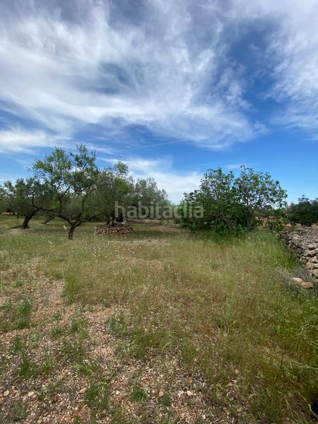 Foto a61b7d5a-45a4-4642-8d56-90727b23f44c. Terreno residencial en Jesús - Els Reguers Tortosa