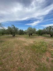 Terreny residencial a Jesús - Els Reguers