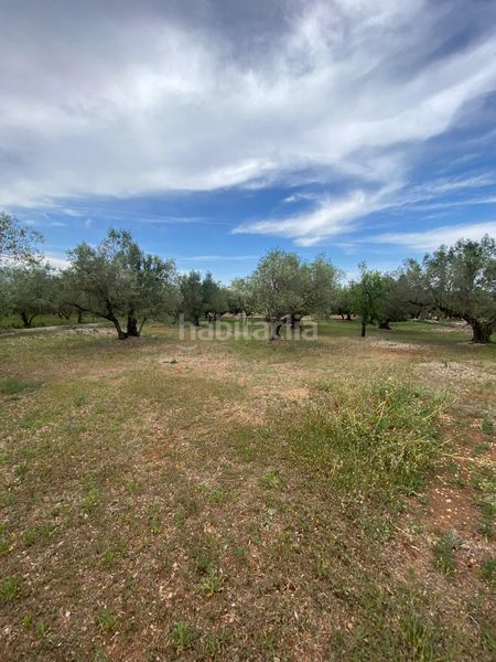 Foto c85ee3ba-5e12-42eb-ab82-f26a398ed299. Terreno residencial en Jesús - Els Reguers Tortosa