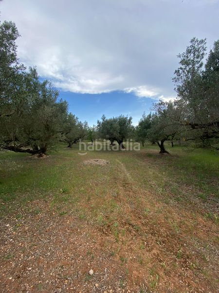 Foto d503b839-f100-4c26-9364-15f24a486fee. Terreno residencial en Jesús - Els Reguers Tortosa