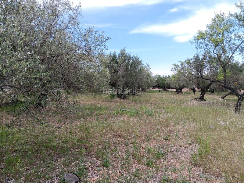 Foto e5bf5b03-b433-468d-af93-016098e56dfe. Terreno residencial en Jesús - Els Reguers Tortosa