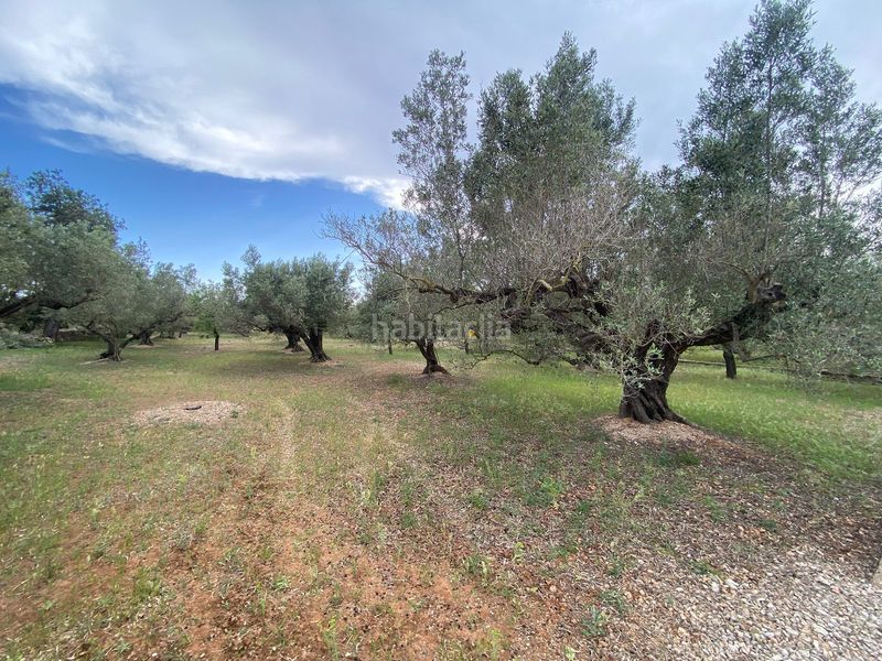 Foto edf93fa8-035e-4a79-a057-78913eeb1bdf. Terreno residencial en Jesús - Els Reguers Tortosa