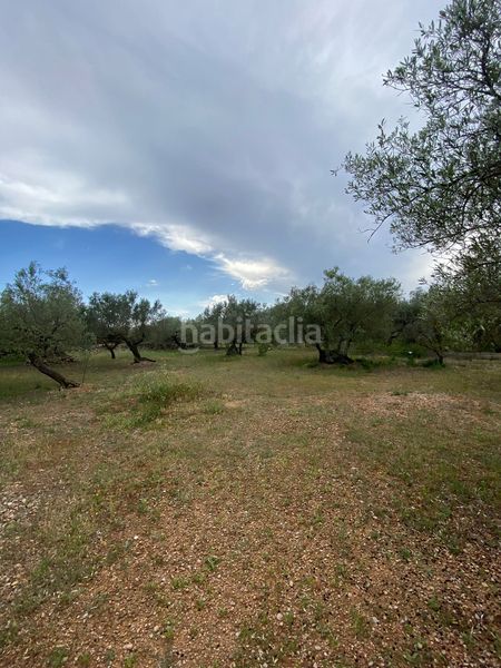 Foto fd03f162-b189-495a-b25d-9b77e4dbe7a9. Terreno residencial en Jesús - Els Reguers Tortosa