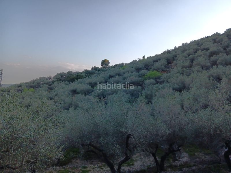 Foto 075c1a01-117d-4487-822c-945f2597bc26. Residential plot in Ferreries Tortosa