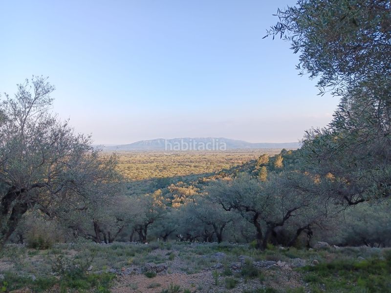 Foto 6322a538-5040-46e1-a8f5-ff123339ef19. Residential plot in Ferreries Tortosa
