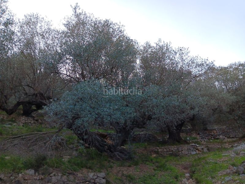 Foto 6ada3a7f-0ddb-4c24-ba8b-bf67904b46df. Residential plot in Ferreries Tortosa