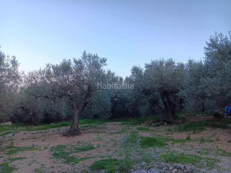 Foto ba3d3e3b-df73-45d5-8477-98eb3991aa73. Residential plot in Ferreries Tortosa